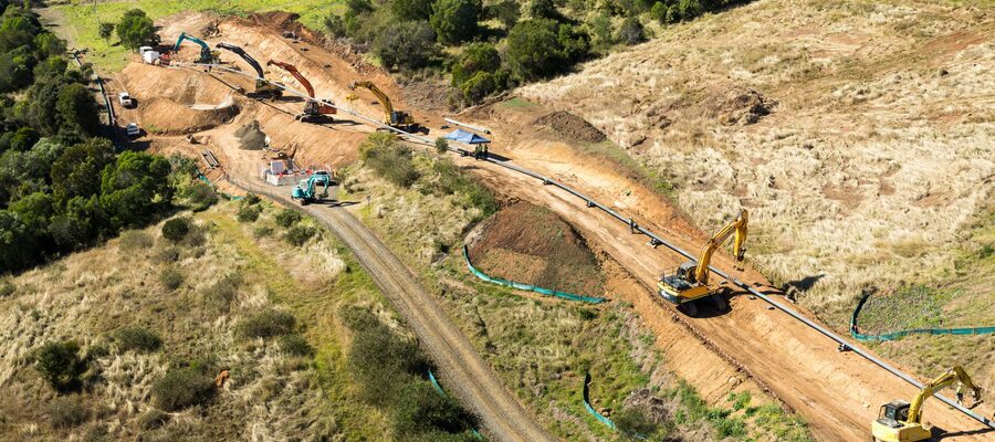 Image courtesy of Diona